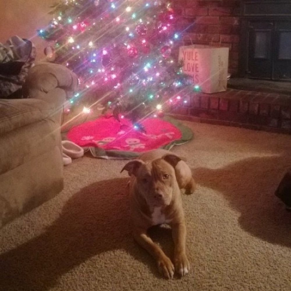 Sorry no longer Available